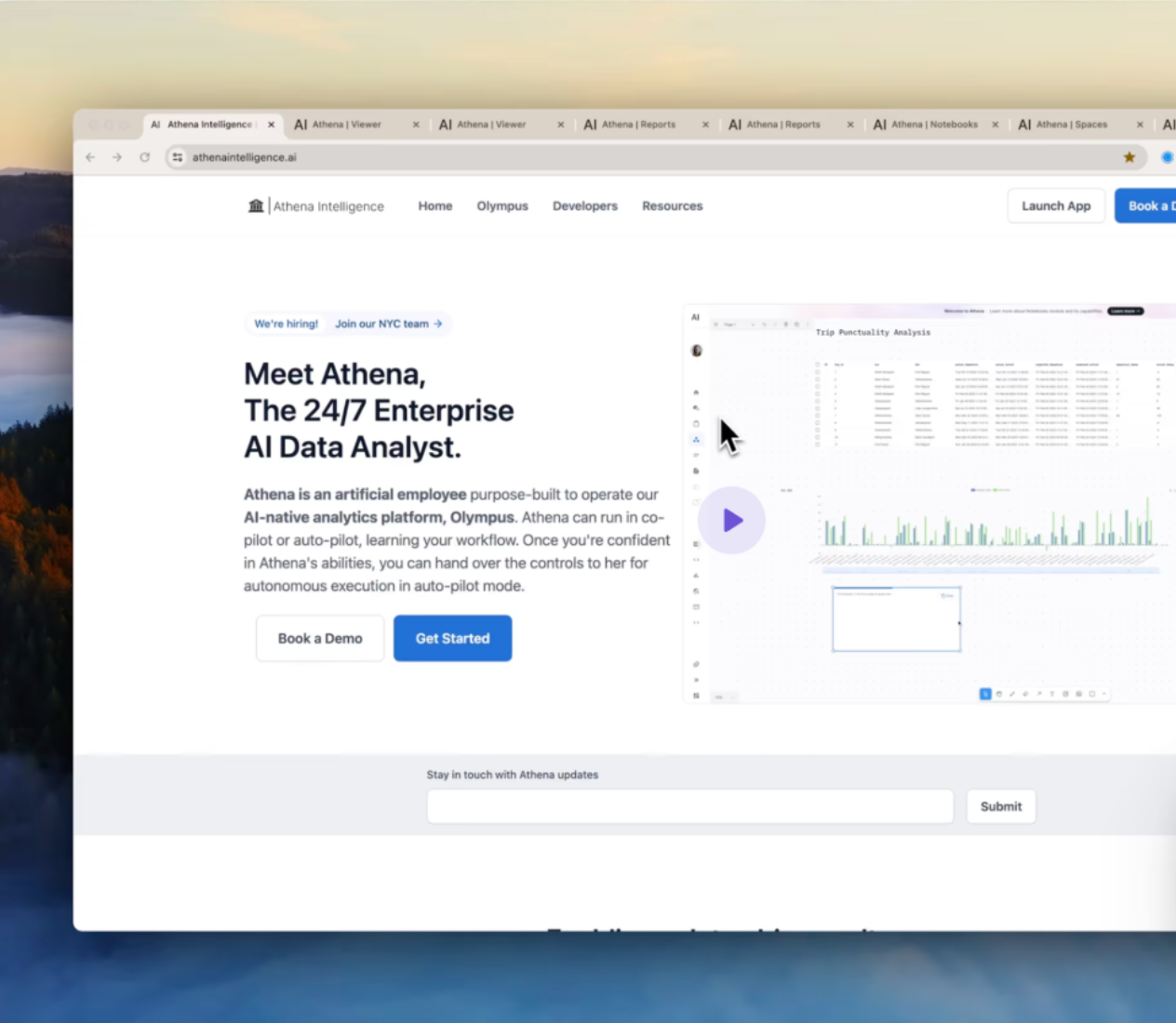 Athena Intelligence